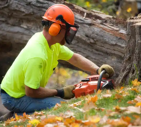 tree services Irvine